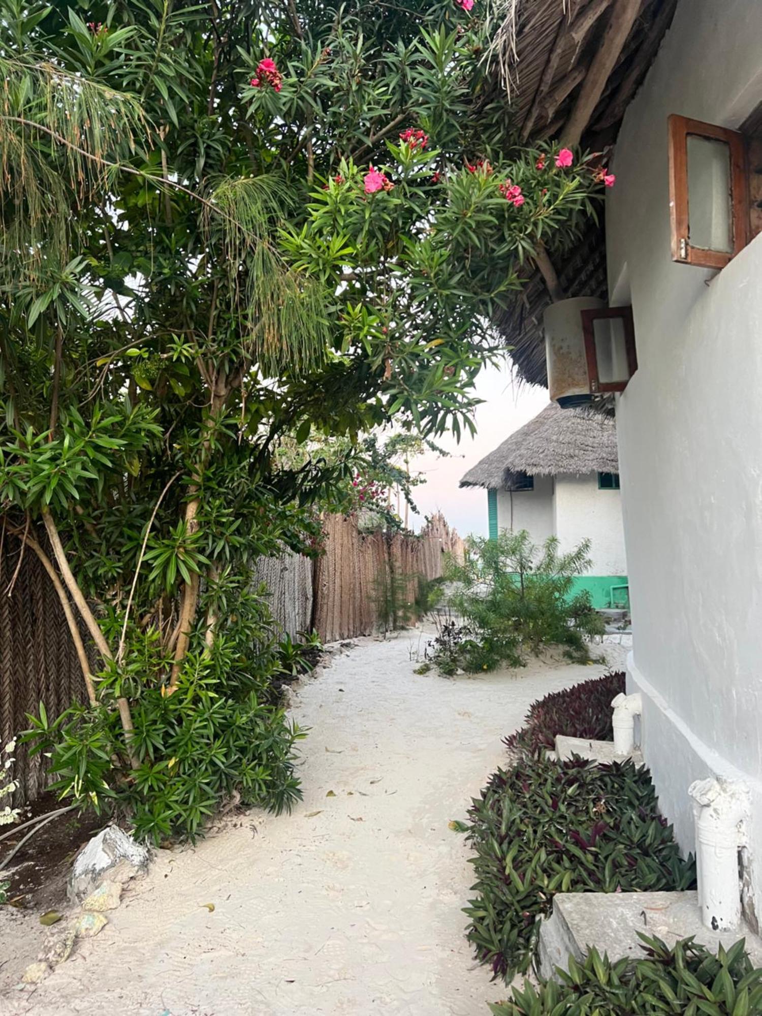 Duara Beach House Hotell Paje Exteriör bild